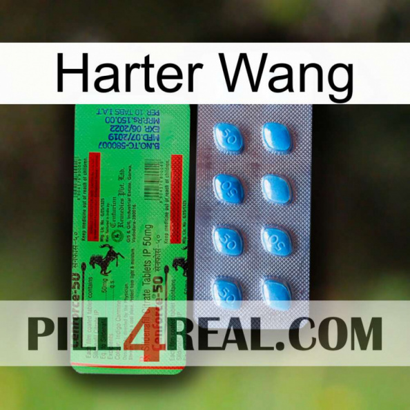 Hard Wang new03